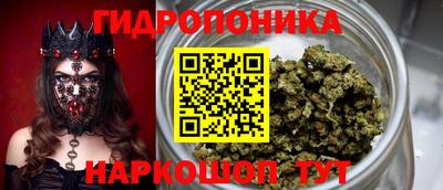 крисы Тара