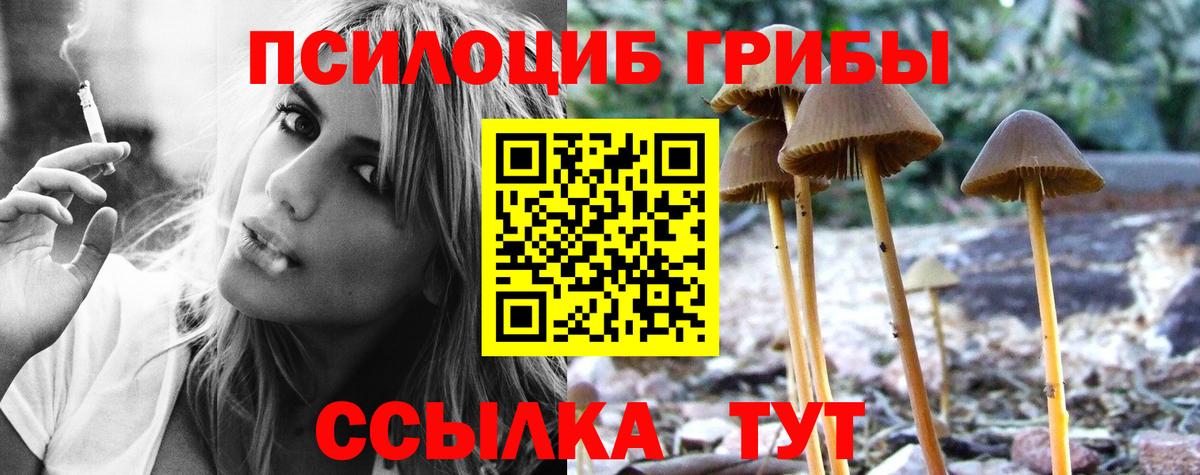 Арзамас  Галлюциногенные грибы Psilocybine cubensis  Вход с VPN 