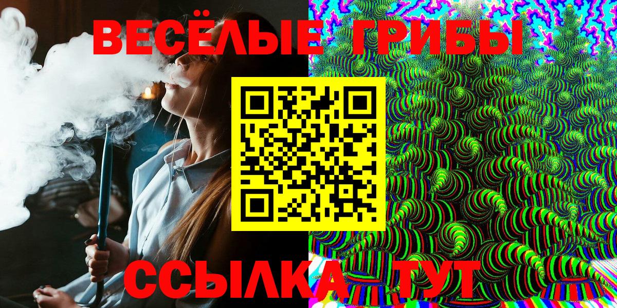 Псилоцибиновые грибы Psilocybe Арзамас